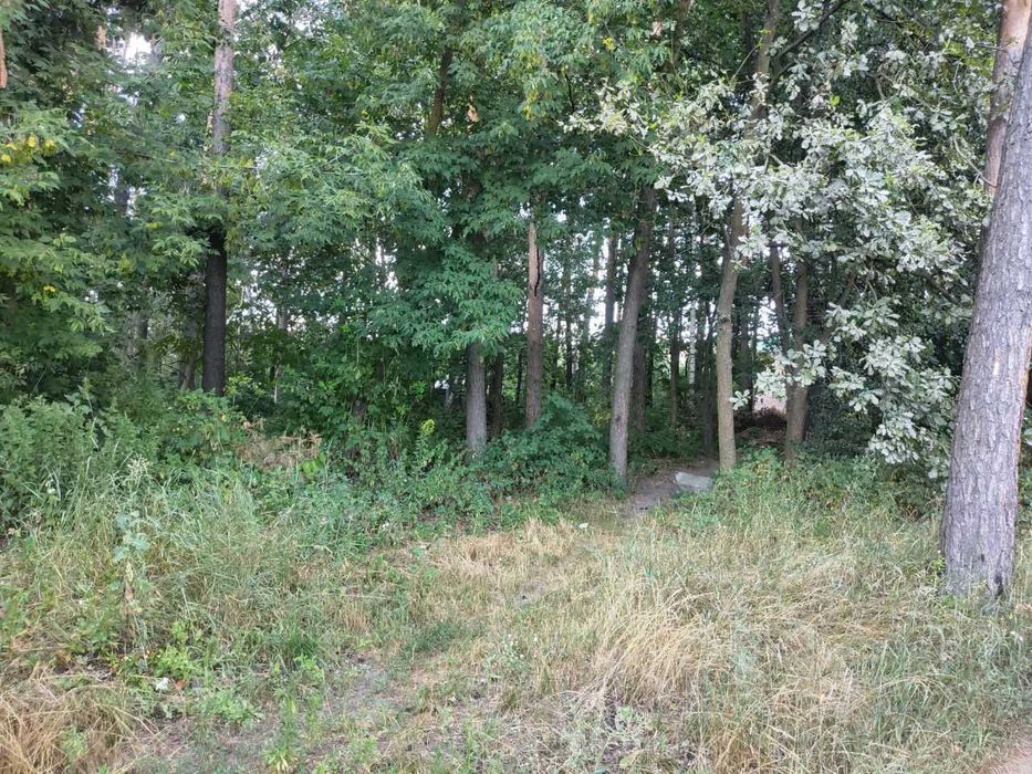 Продам 9,18-сот для ведення садівництва Новогуйвинськ