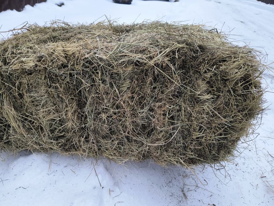 Сіно  лугове з доставкою