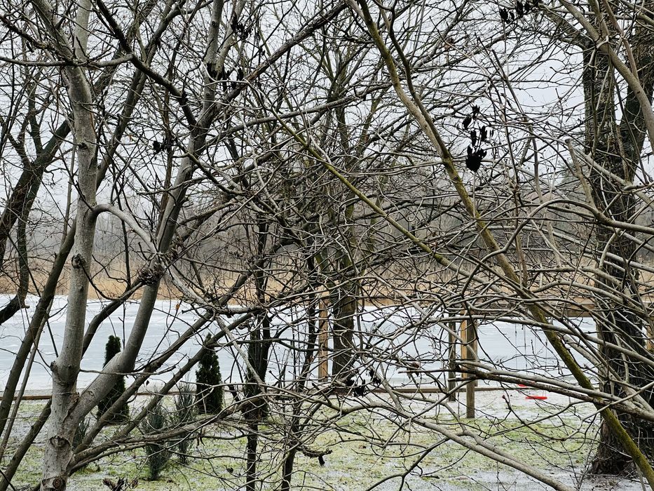 Продам Участок в Обуховке река лес пляж