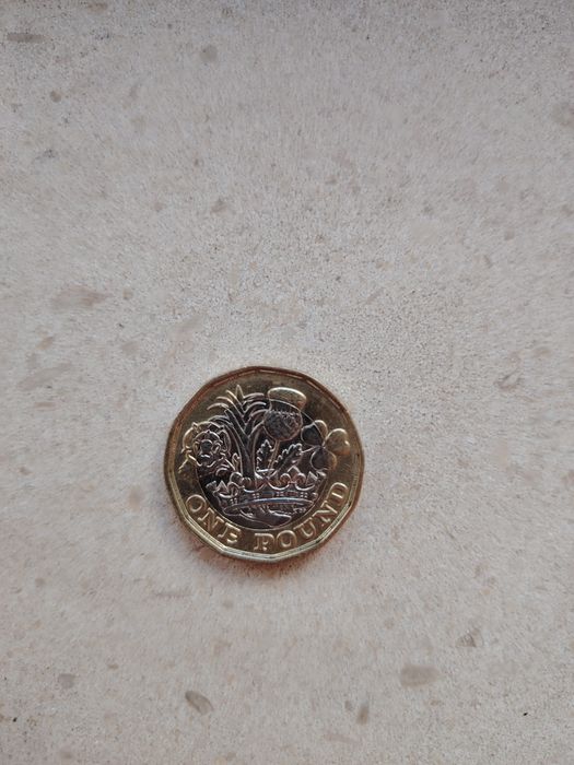 Moeda One pound 2017
