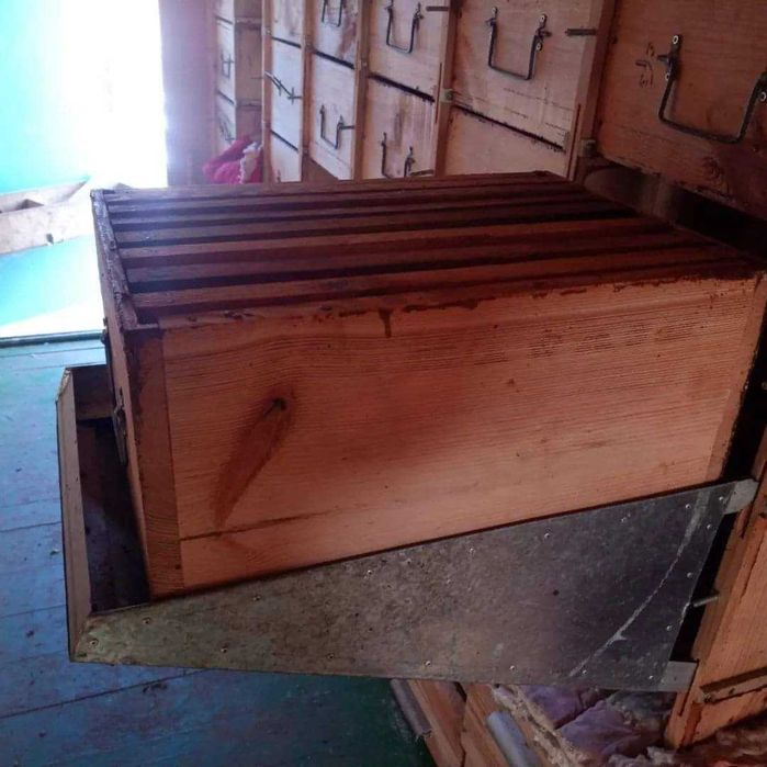 Павільйон для бджіл