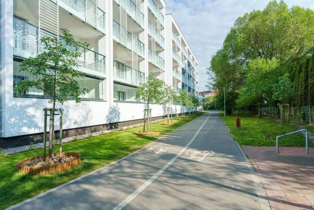 Zdjęcie 8