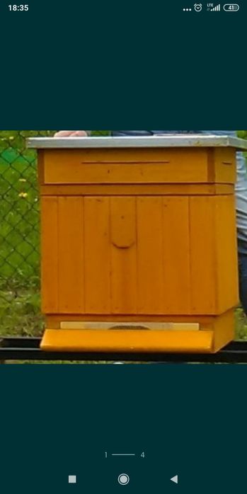 Rodziny pszczele ul ramka Wielkopolski dadant pszczoły ule