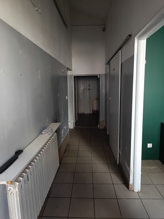 Zdjęcie 7