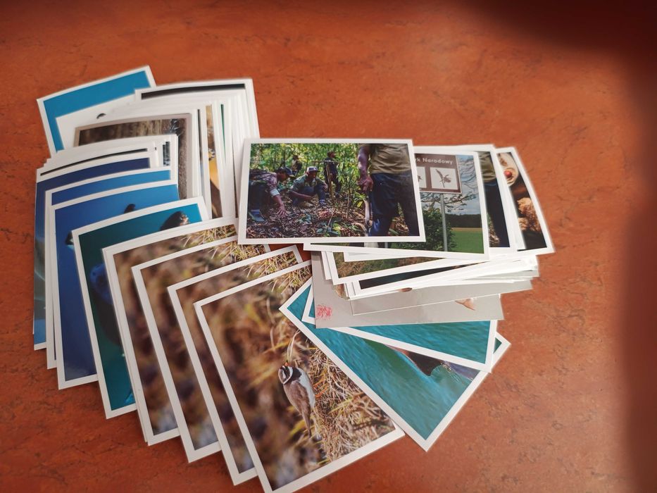 Sprzedam naklejki Panini