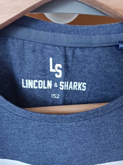 Koszulka T-shirt Lincoln Sharks rozmiar 152,12lat