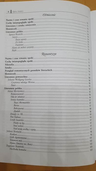 Repetytorium Maturzysty j. polski