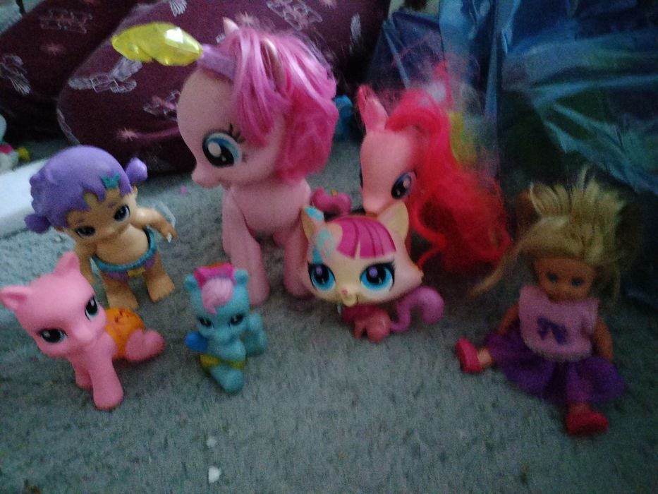 My little pony koniki