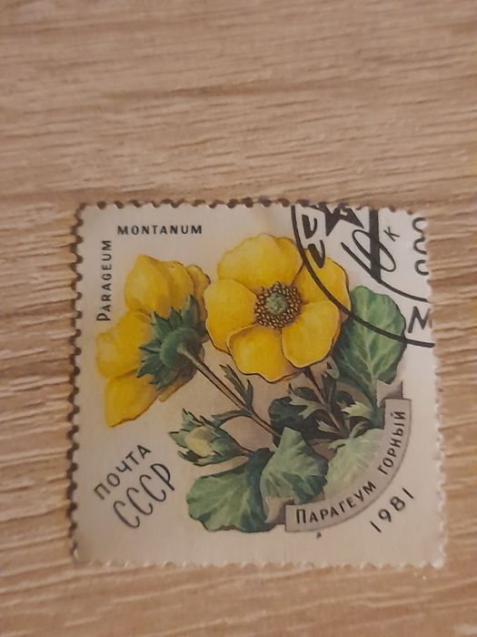 Znaczki pocztowe ZSRR kwiaty 1977/78/81 rok