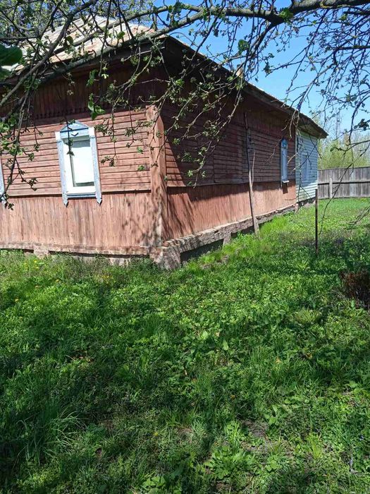 Продам будинок Пасіка