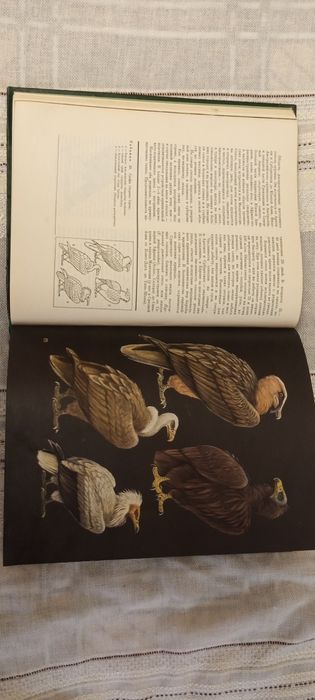 Комплектиз двух книг - Жизнь животных .тома 5 и 6 . Москва 1970 . 1971 г.
