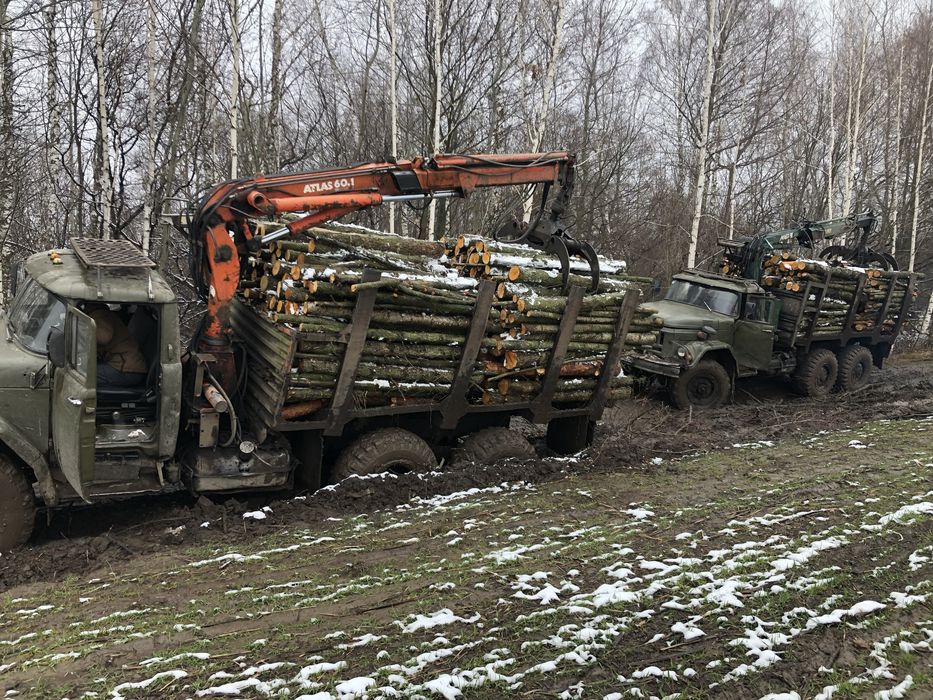 Продам дрова паливні (опт)