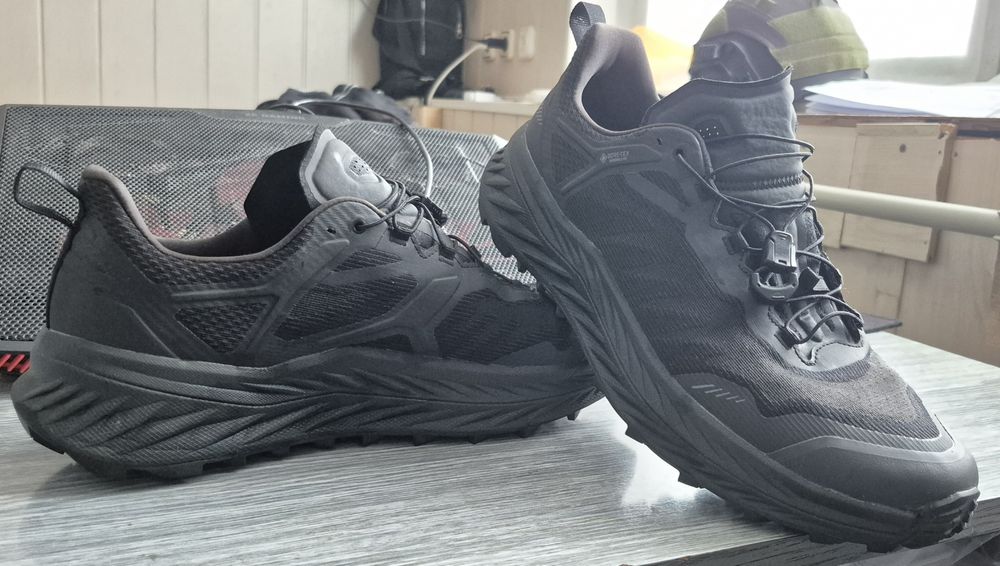 Кросівки Lowa Fortux GTX