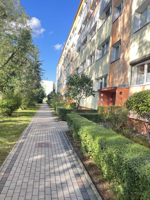 Mieszkanie – Łódź - Widok 2