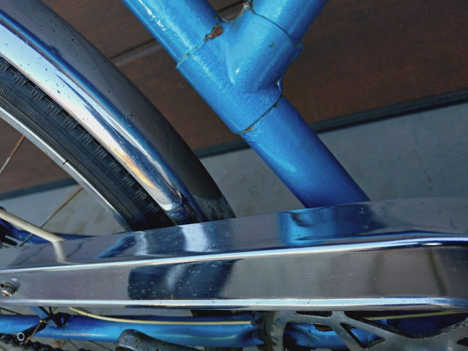 Rower universal Leda