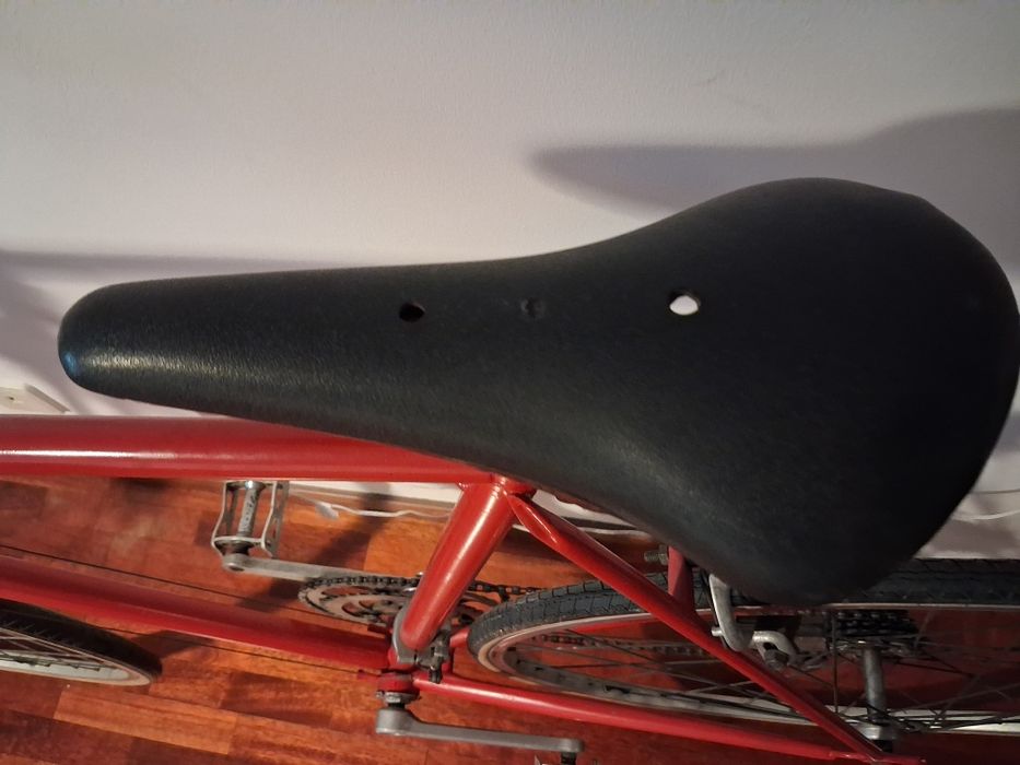 Bicicleta adulto
