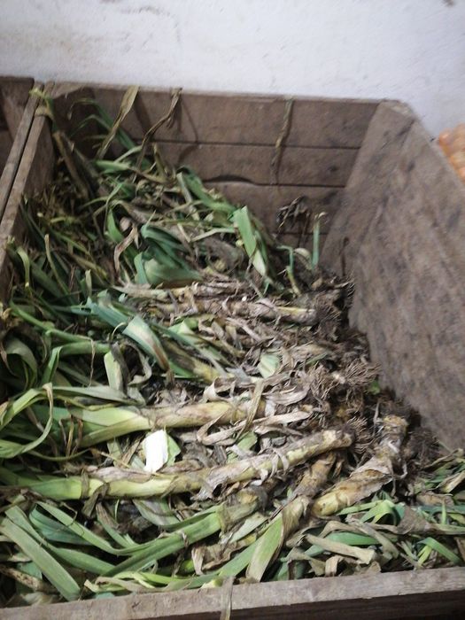 Por 20 sztuk od rolnika wysyłka inpost paczkomat