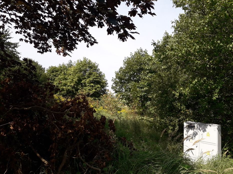 Mielno działka 1500 m² z W.Z - Widok 4