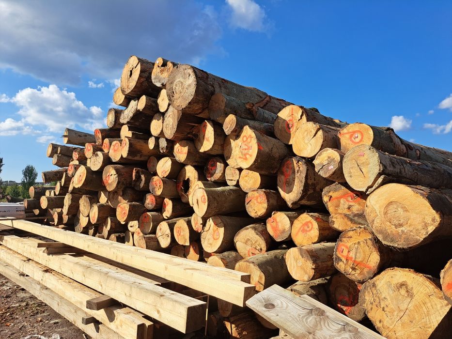 Drewno bukowe opałowe kominkowe