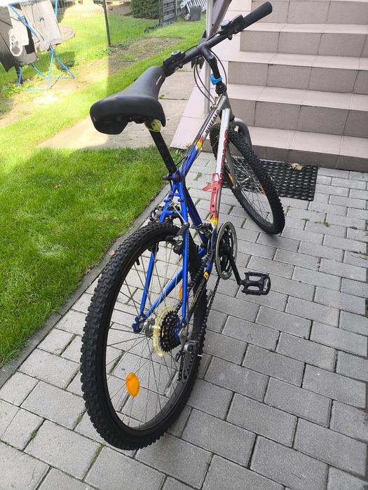 Rower author buffalo