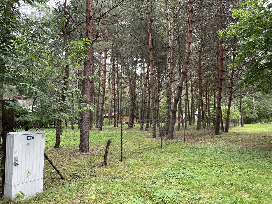 Radawa dzielnica Kudryki