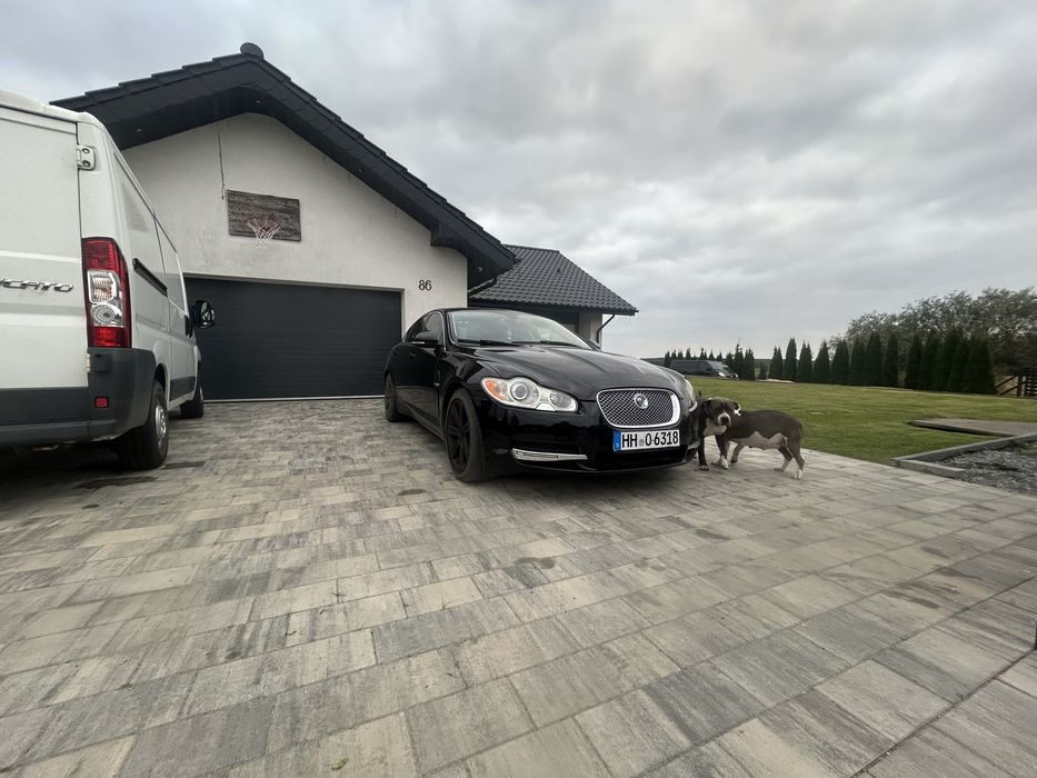 Jaguar 2009r 3.0 disel uszkodzony silnik ale odpala