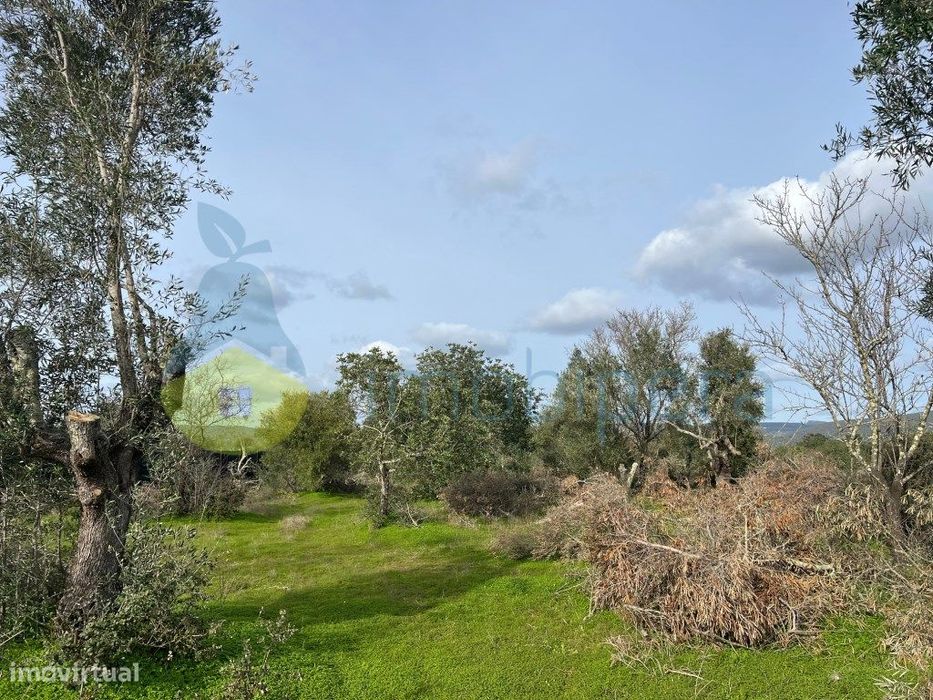 Terreno Rústico 1680 M2 Em Alcaria-Paderne — Paderne, Faro