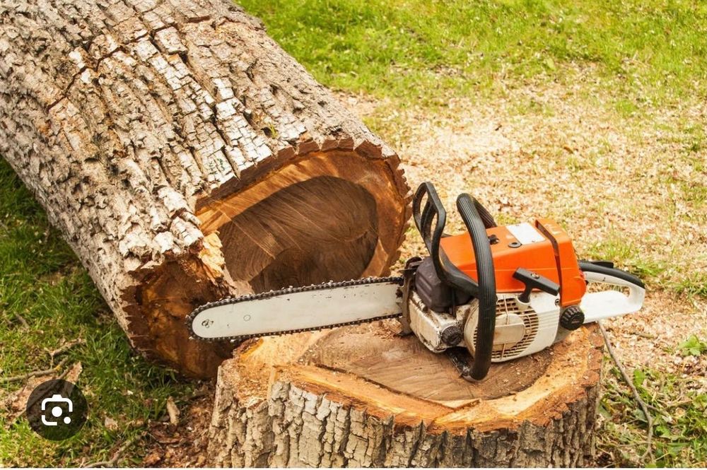 Спил дерев, видалення дерев, удаление деревьев, розчищення участка