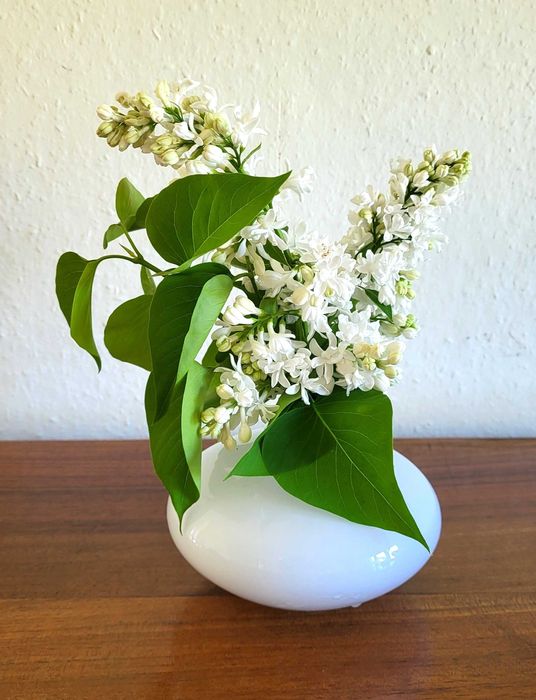 Wazon biały Johanna Jelinek