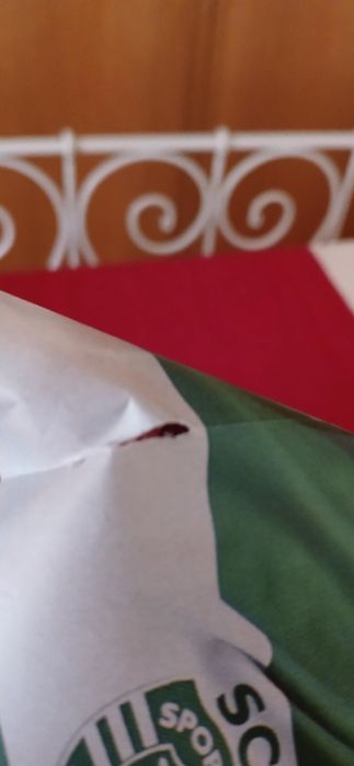 Poster Viktor Gyokeres