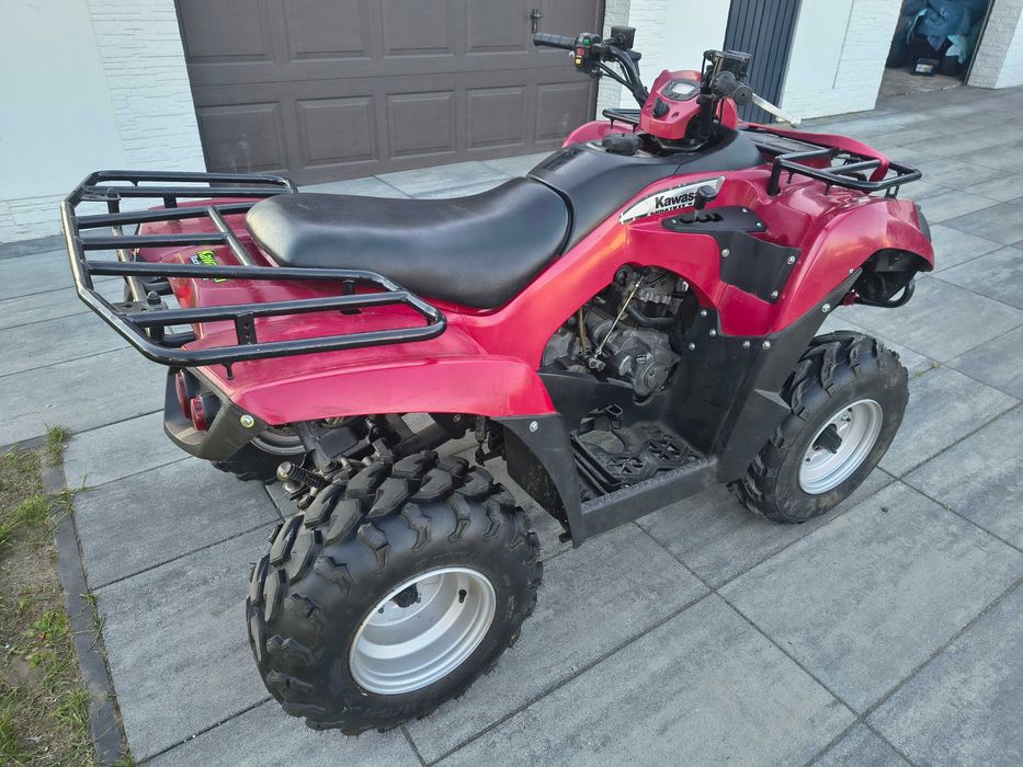 Kawaski KVF 300 Brute Force