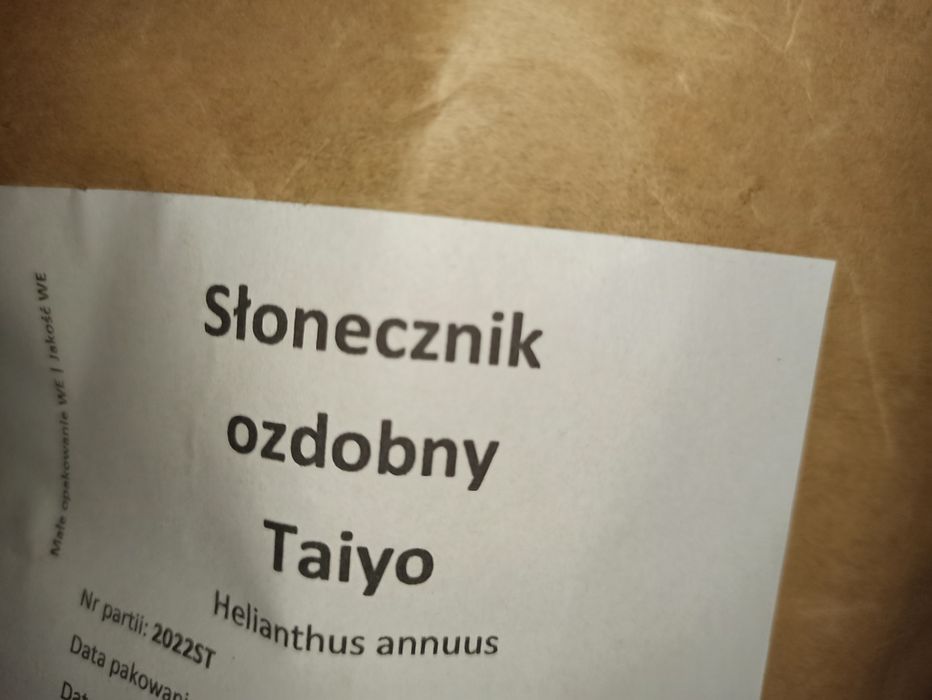 Nasiona słonecznika ozdobnego Taiyo