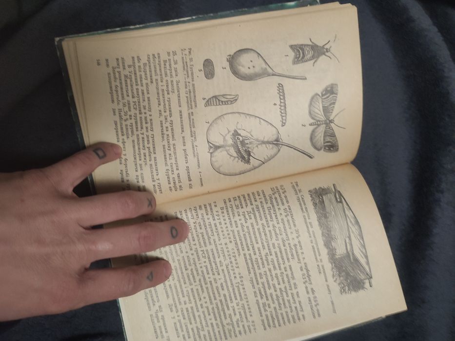 Книги / книги українською / книга про дерева / книга про плодові дерева / Колективні і присадибні Сади /