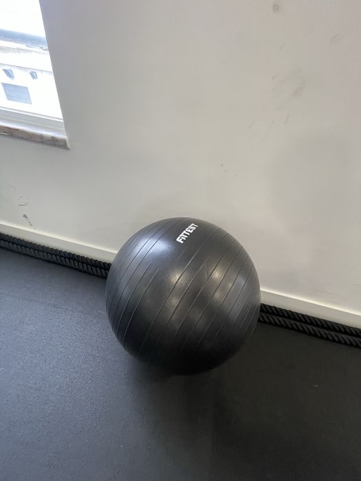 Bola fitness Fittest