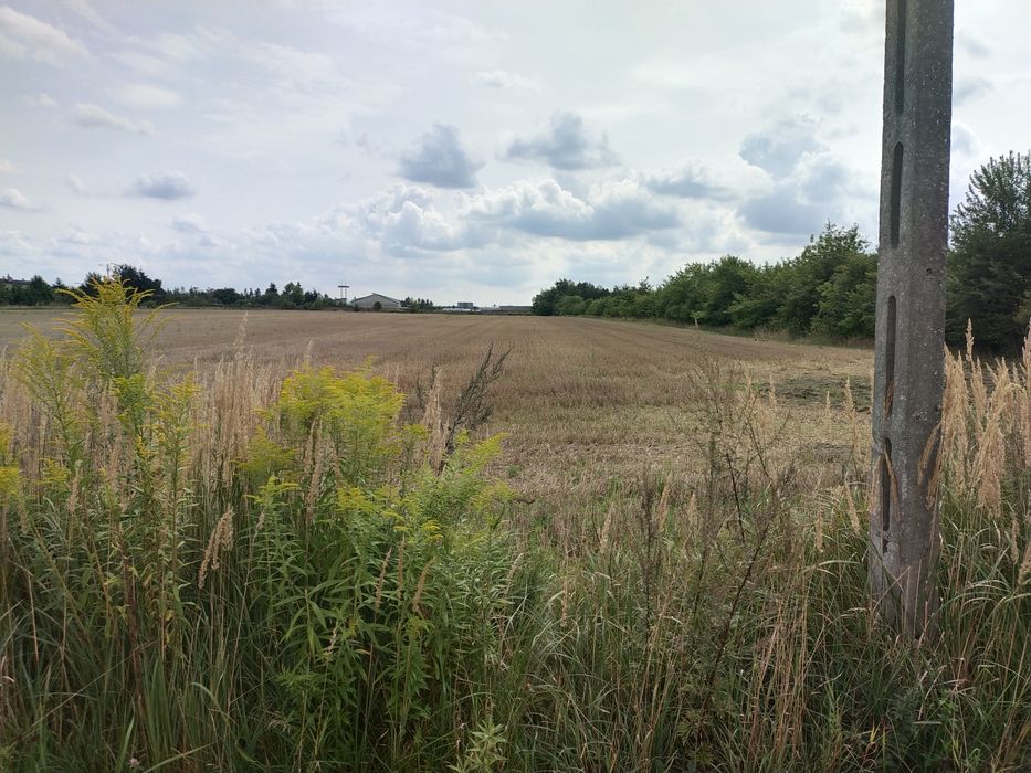 Zdjęcie 4