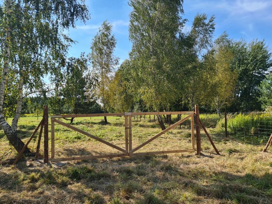 Ogrodzenie budowlane, tymczasowe, lesne