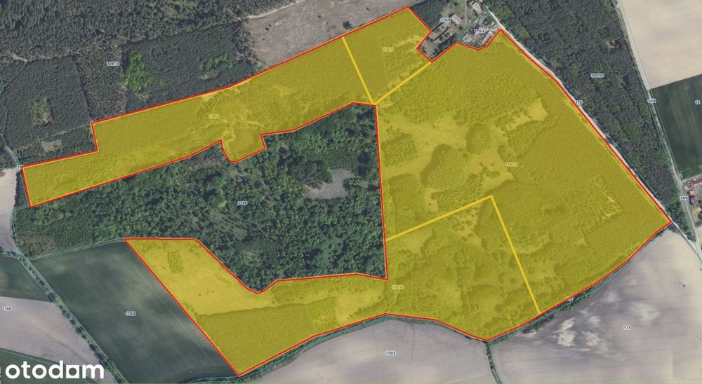 Działka leśna 319216 m² z dojazdem utwardzonym
