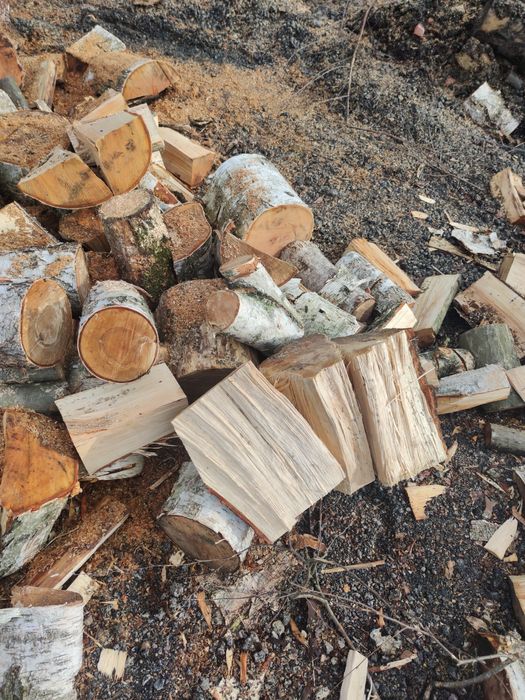 Drewno opałowe / kominkowe