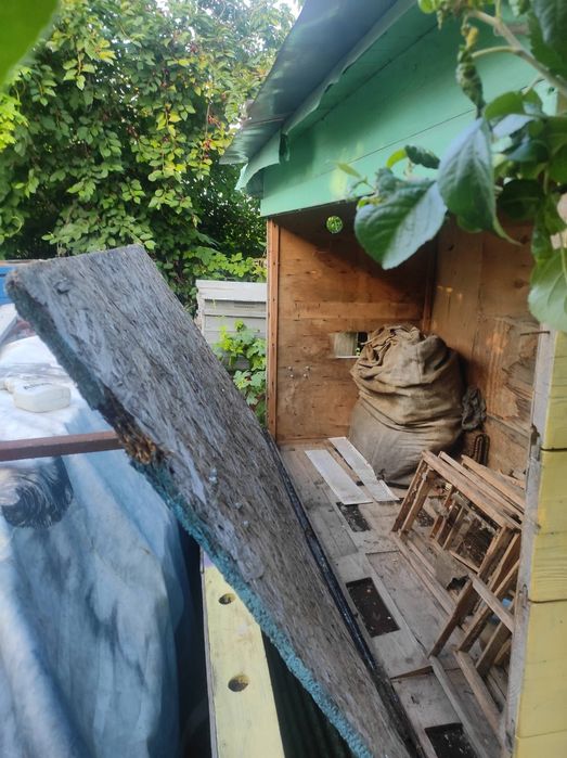 Апидомик - На четыре семьи