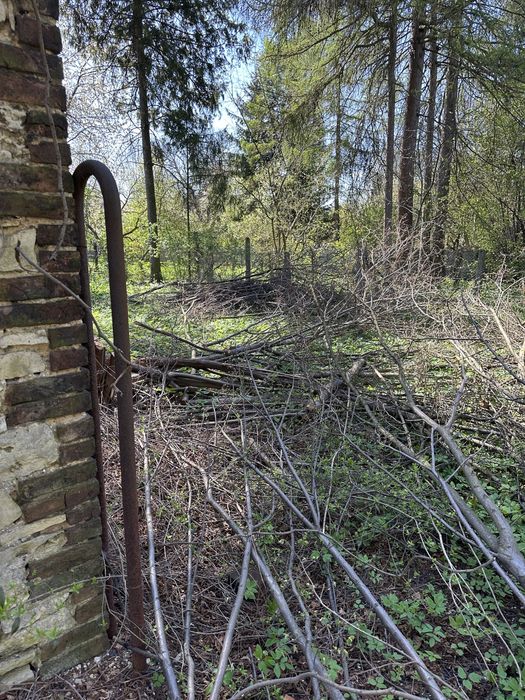 Oddam za darmo drewno i deski na opal