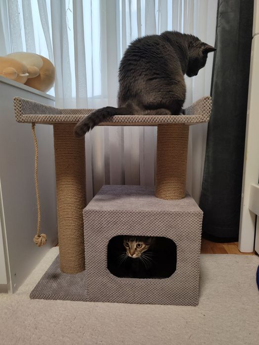 Когтеточка с лежанкой для кота