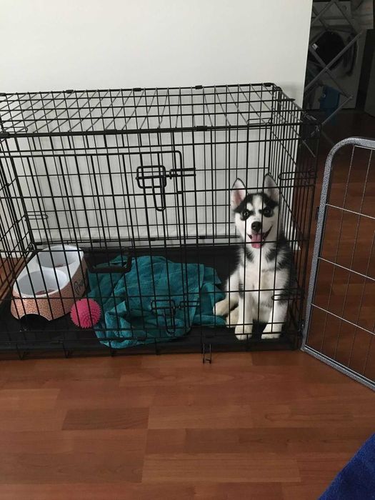 Переноска Польша клітка клетка для собак кошек x/s, S, M, L, XL, XXL