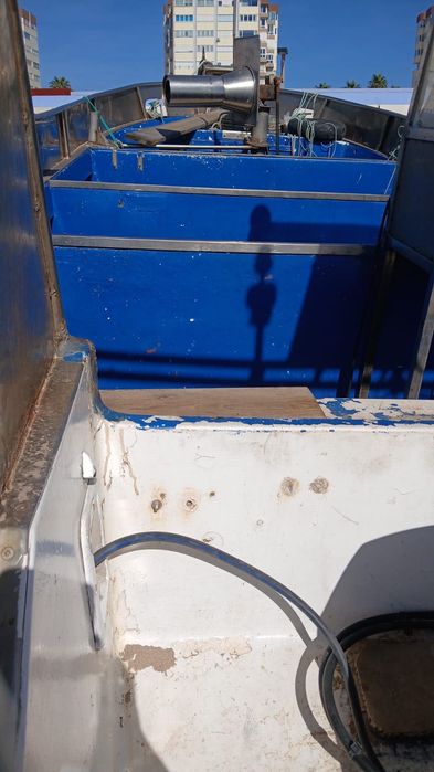 Barco de Pesca Profissional "Deixa Os Falar" + Motor Suzuki 36CV + DUP