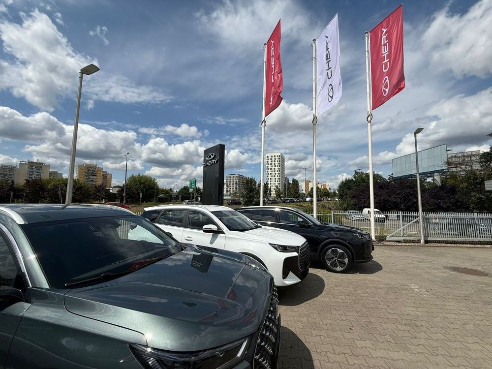 business-site-gallery-photo