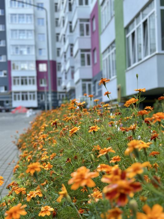 Продається 1-кімнатна квартира