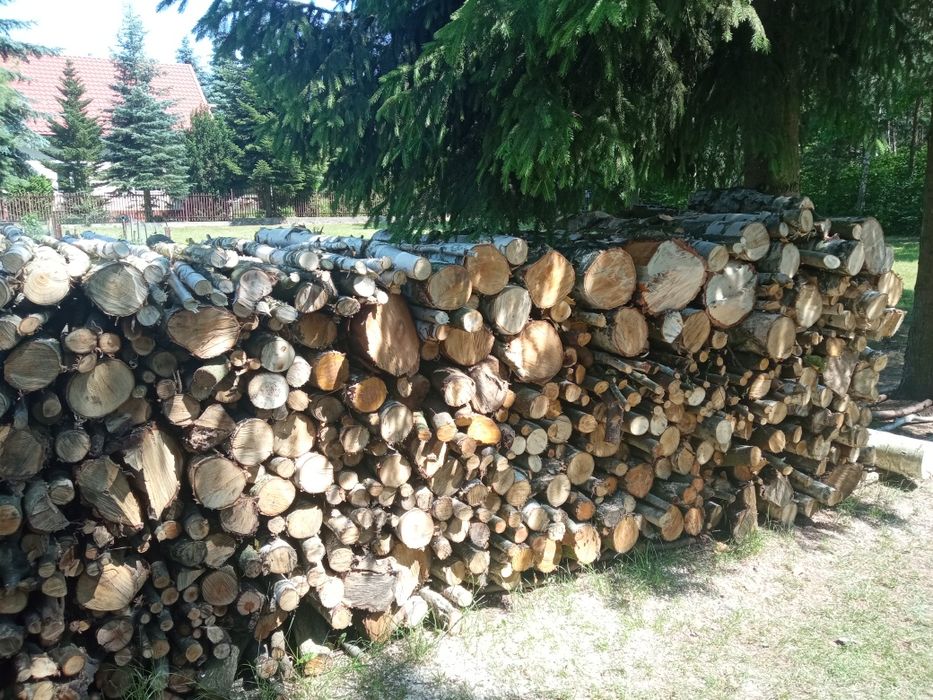Drewno opałowe i kominkowe liściaste :brzoza, czeremcha, osika