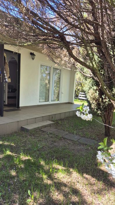 Ogródek działkowy, Grzybowo