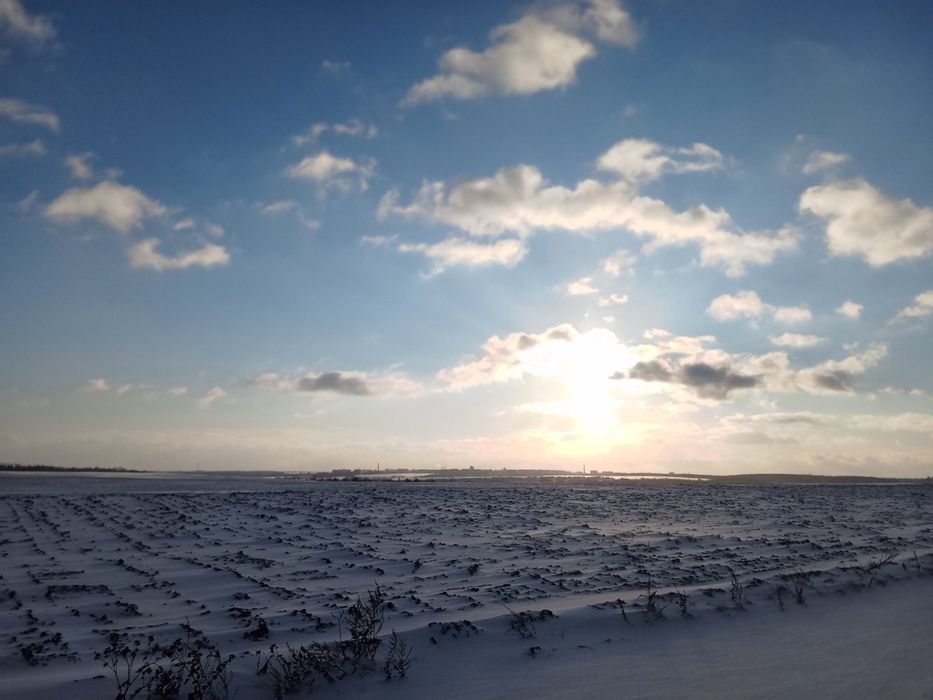 Продається земельна ділянка ( с. Лозова Тернопільський район )