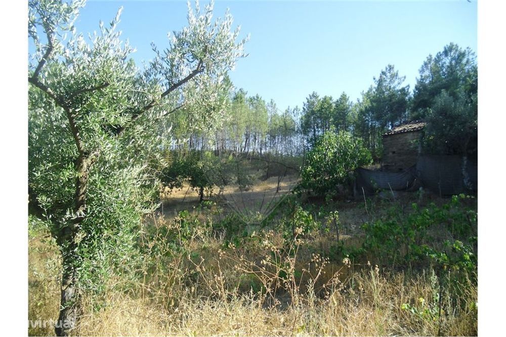 Quinta T0 para venda — Vila Velha de Rodão, Castelo Branco