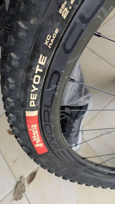 Rodas Carbono Prototype World Cup 29